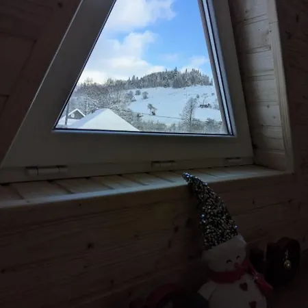 Apartment затишний будинок для відпочинку Rostoka (Transcarpathia)