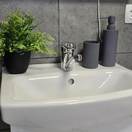 Apartment затишний будинок для відпочинку Rostoka (Transcarpathia)